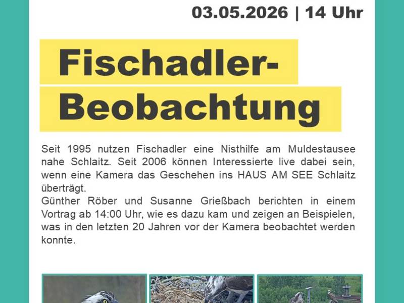 HS FA 3.05.26_JV.jpg